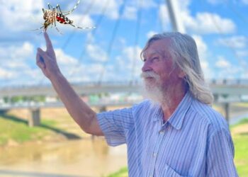 Friale, o Artista do Tempo