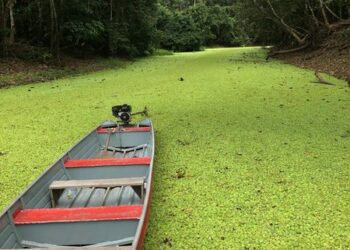 Rio Croa encanta turistas com belezas naturais e cresce como destino turístico no Acre