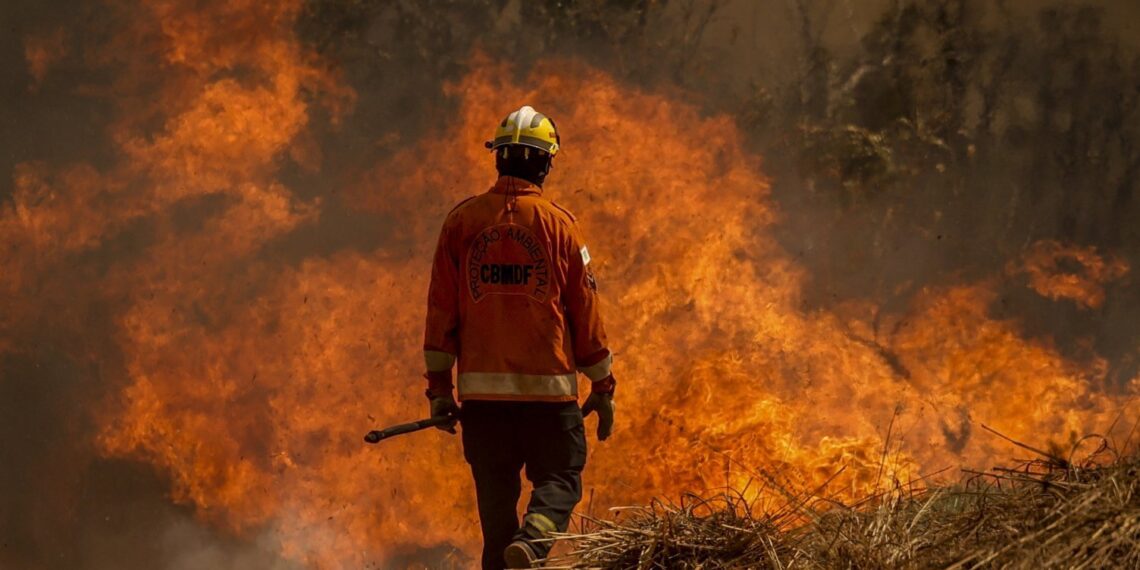 Brasil está em situação de emergência ambiental, declara Governo