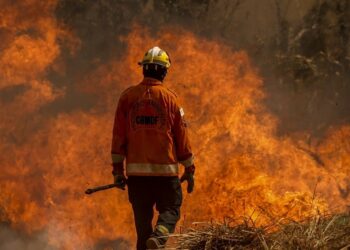 Brasil está em situação de emergência ambiental, declara Governo