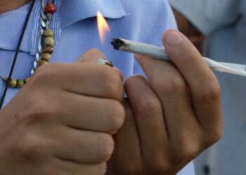 STF mantém liberação do porte de maconha para uso pessoal