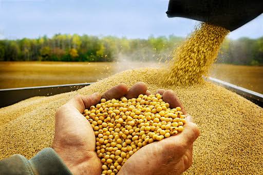 Produtores de soja no Acre devem se cadastrar no Idaf