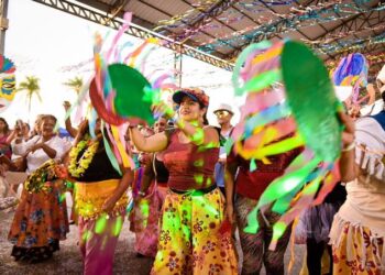 Às Vésperas da Folia, Congresso Nacional Reduz o Ritmo