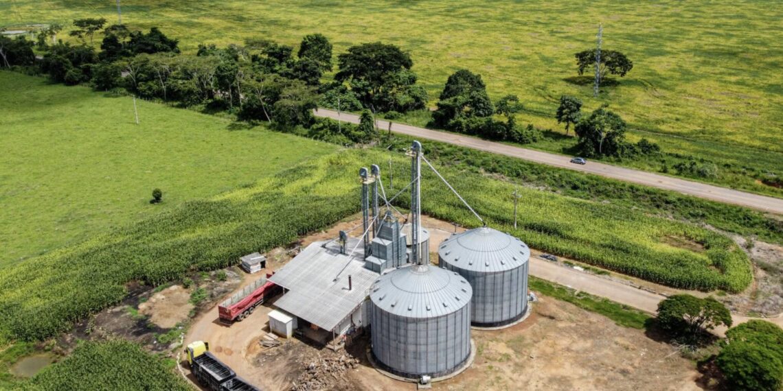 Produção rural impulsiona crescimento e atrai investimentos no Acre