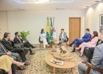Unidade Institucional: Governadora Mailza Assis e Ministério Público alinham ações por justiça social