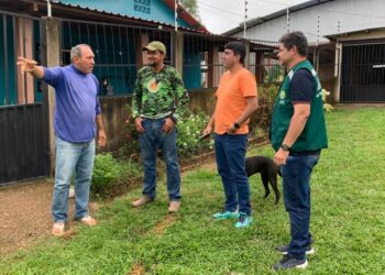 Acre avança em produção rural sustentável com recuperação de pastagens