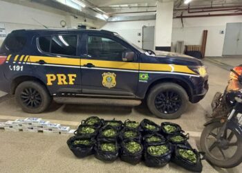 PRF apreende folhas de coca e cigarros contrabandeados após acompanhamento tático em Senador Guiomard/AC
