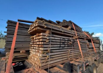 Governadora Mailza promove entrega de madeira apreendida para comunidades rurais de Brasileia