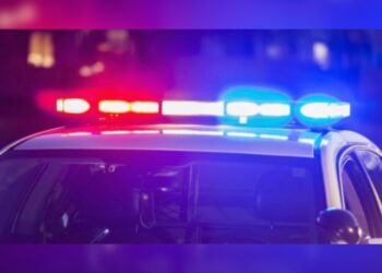 Briga entre irmãos termina com morte brutal e mãe ferida