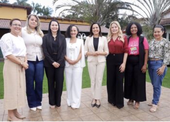 Mailza Assis fortalece articulação política em encontro com lideranças femininas do PL Mulher