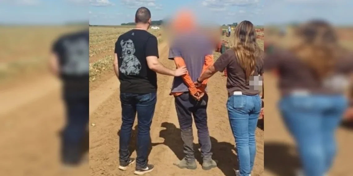 Contratado por marido para matar amante de mulher é preso no Entorno. Veja vídeo