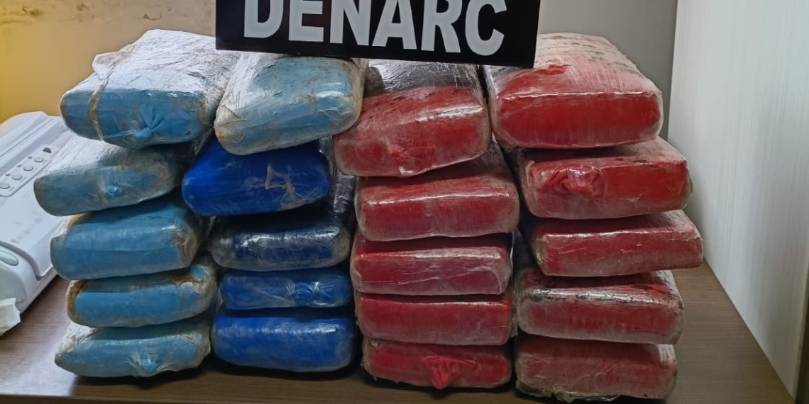 Cadela farejadora descobre 21 kg de skunk escondidos em carro rumo a SC