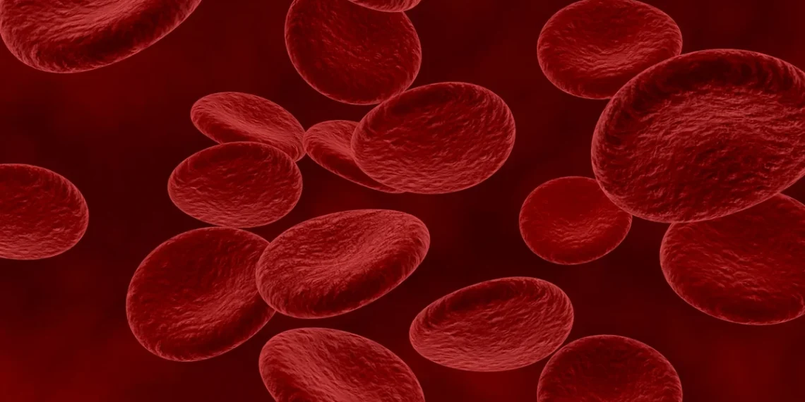 Cânceres de sangue podem evoluir sem sintomas por anos, alerta médico
