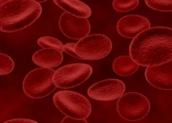 Cânceres de sangue podem evoluir sem sintomas por anos, alerta médico