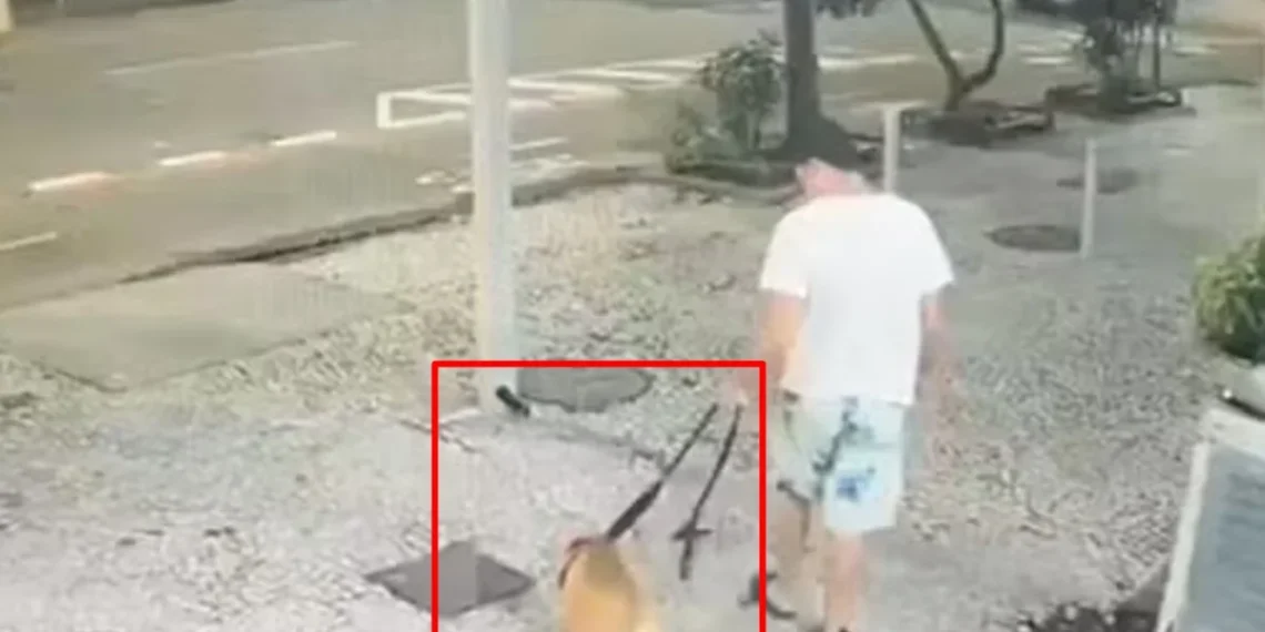 Homem é indiciado por matar pit bull afogado em mar de Copacabana.