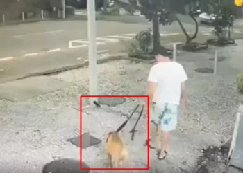 Homem é indiciado por matar pit bull afogado em mar de Copacabana.