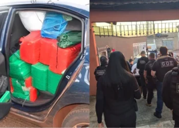 “Coiotes do tráfico” são presos após transportar 870 kg de maconha.