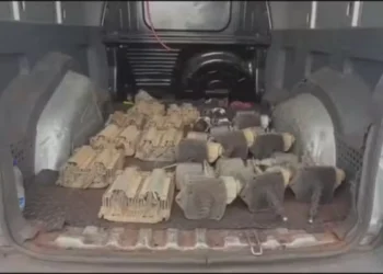 Suspeitos de roubar empresa morrem em troca de tiros com PMs de folga