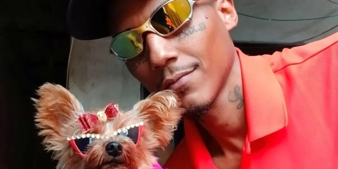 “Roubei, mas me apeguei”: influencer viraliza com “cachorra de madame”