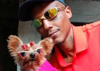 “Roubei, mas me apeguei”: influencer viraliza com “cachorra de madame”