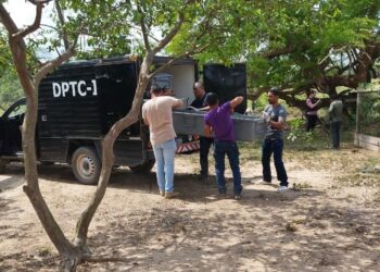 Mulher é morta com tiro na cabeça e polícia apura se disparo foi acidental