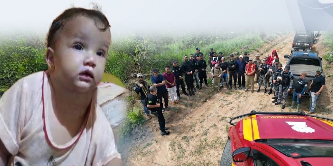 Bebê de 9 meses segue desaparecida e buscas entram em nova etapa em Manoel Urbano