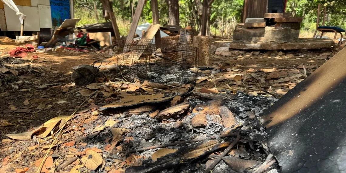 Mulher é encontrada nua, esfaqueada e com corpo carbonizado em mata
