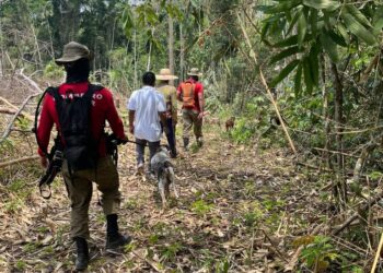 Bombeiros usam cães farejadores em buscas por bebê de 9 meses sequestrada pelo tio no AC