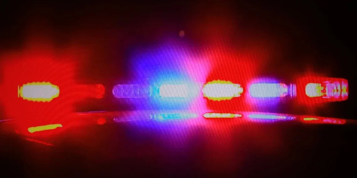 Menina de 11 anos dá à luz, e polícia investiga caso como estupro