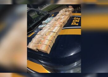 PRF apreende mala com R$ 870 mil em MG; motorista cita ligação com política. Veja vídeo