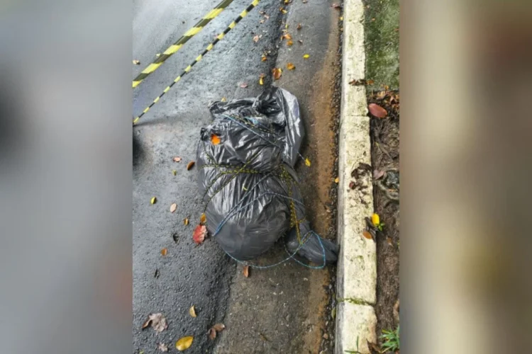 Internet teoriza sobre suposto serial killer de SP após série de homicídios