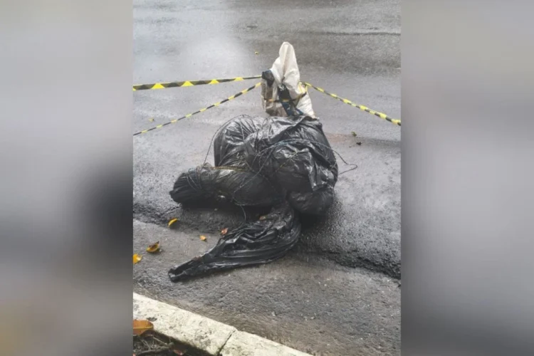 Internet teoriza sobre suposto serial killer de SP após série de homicídios