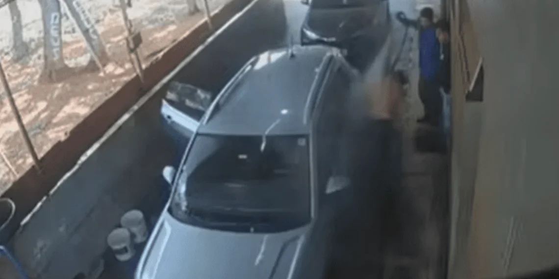 Trabalhadores atacados espantam abelhas com jatos d’água na Asa Norte. Veja vídeo