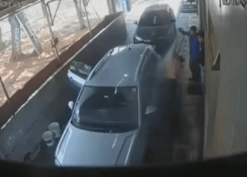 Trabalhadores atacados espantam abelhas com jatos d’água na Asa Norte. Veja vídeo